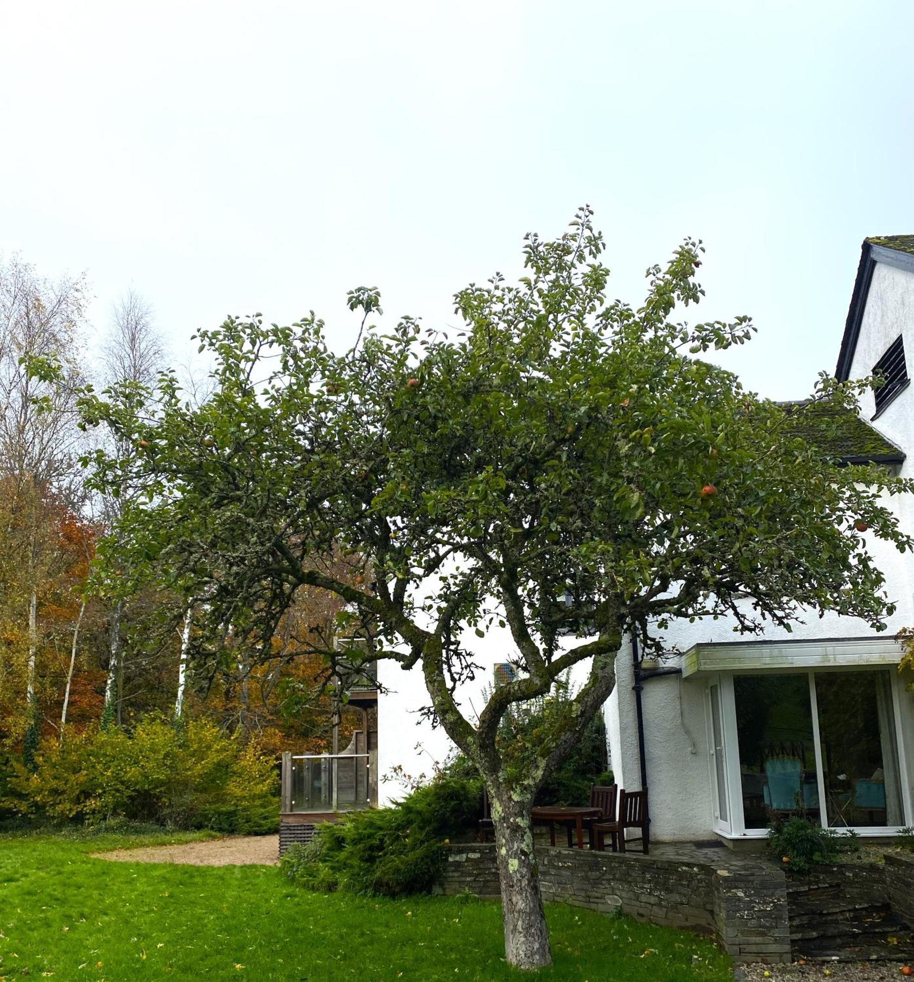 Mill End Hotel Chagford Buitenkant foto